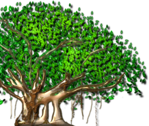 The Banyan Group